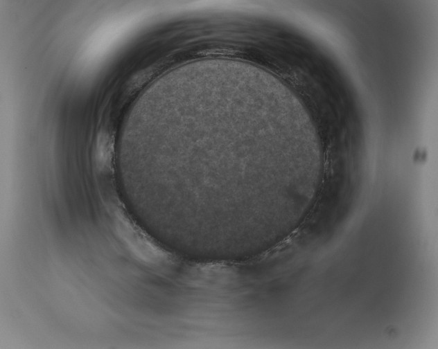 X0000112510146200909071316