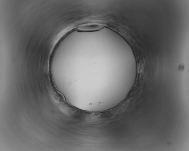 X0000112510148200909071316