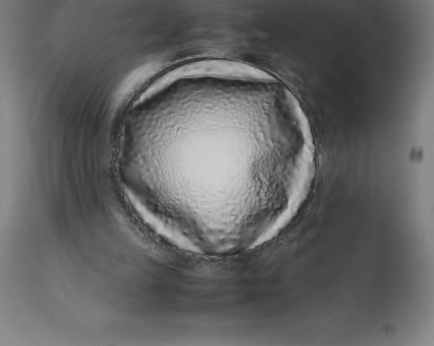 X0000112510149200909071316