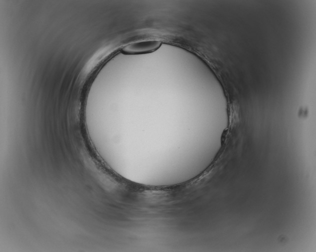 X0000112510150200909071316