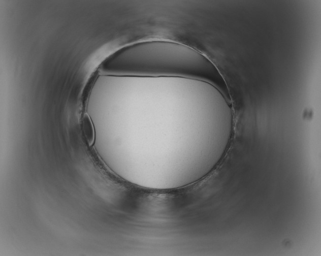 X0000112510152200909071317