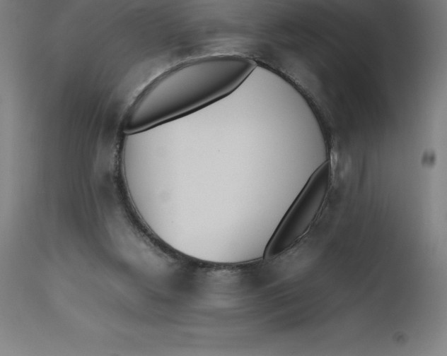 X0000112510156200909071317