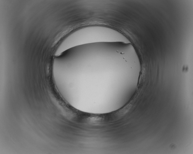 X0000112510158200909071317