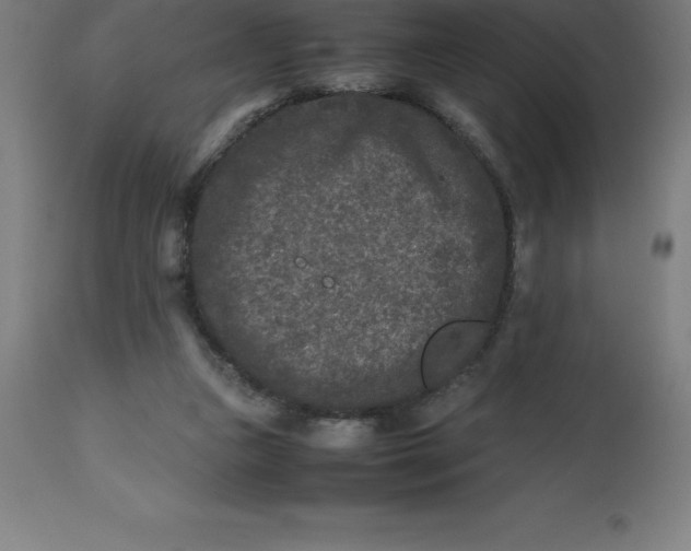 X0000112510161200909071317