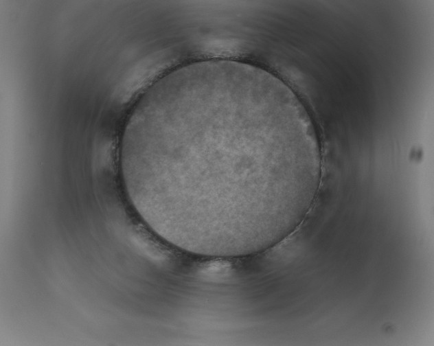 X0000112510162200909071317