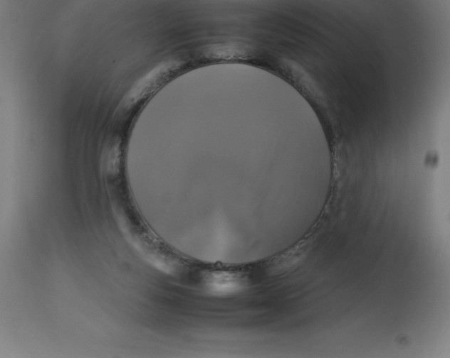 X0000112510163200909071317