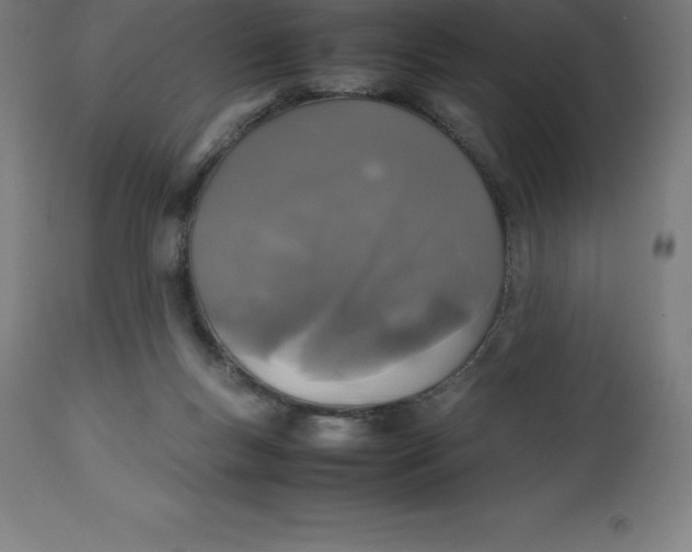 X0000112510167200909071317