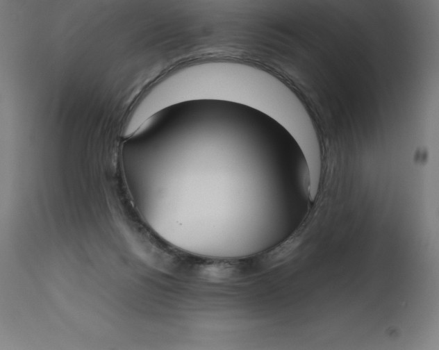 X0000112510168200909071317