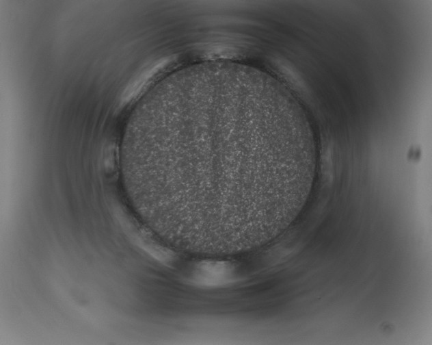 X0000112510169200909071317