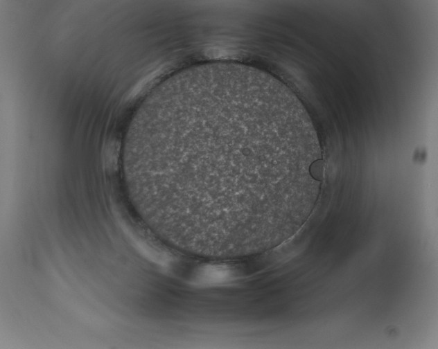 X0000112510171200909071317