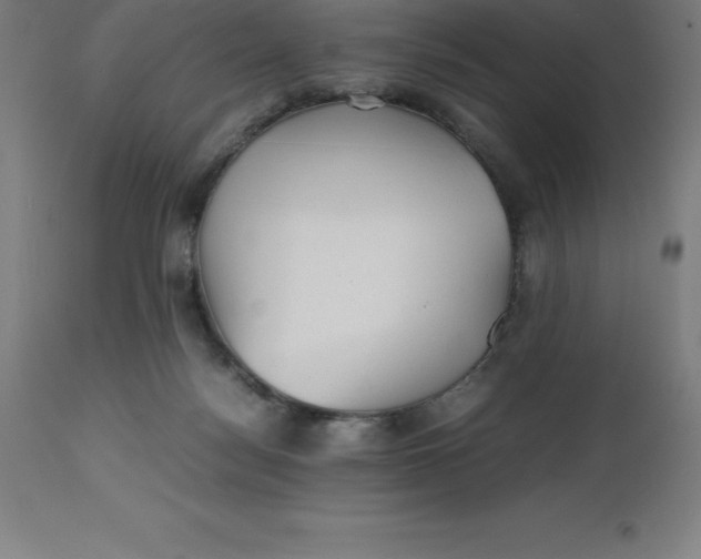 X0000112510172200909071317