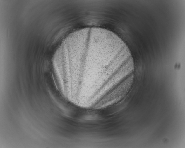 X0000112510175200909071317