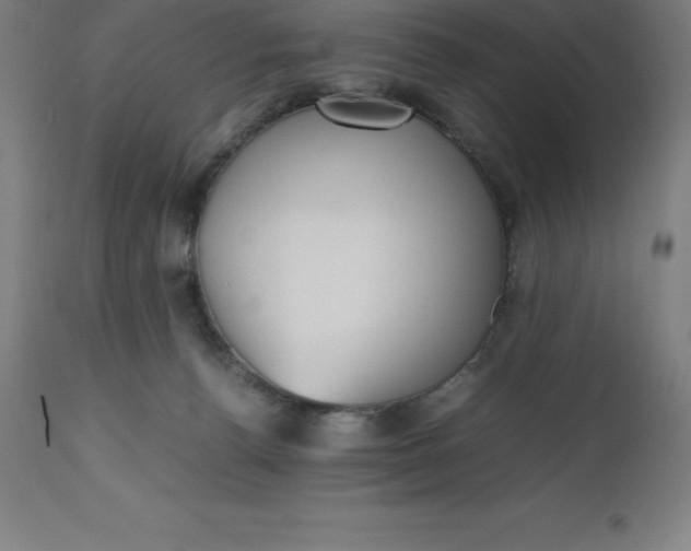 X0000112510176200909071317