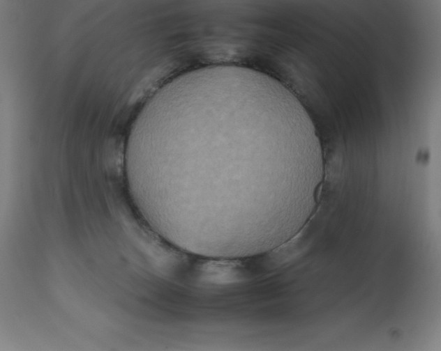 X0000112510179200909071317