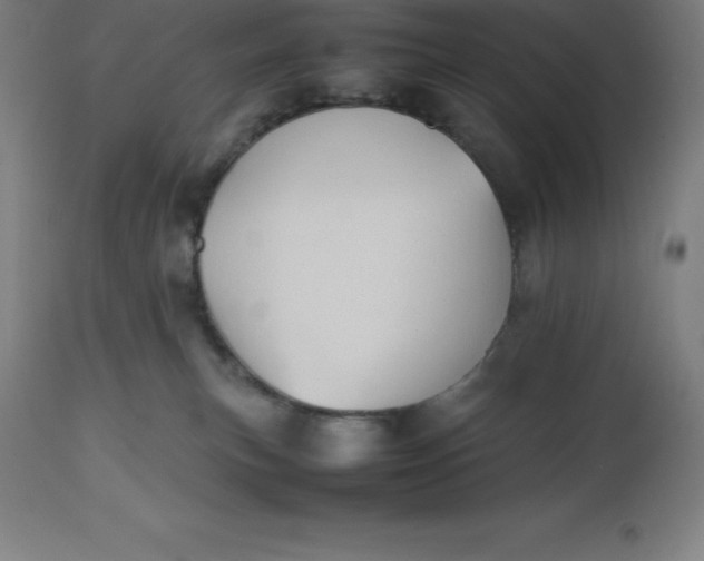 X0000112510183200909071317