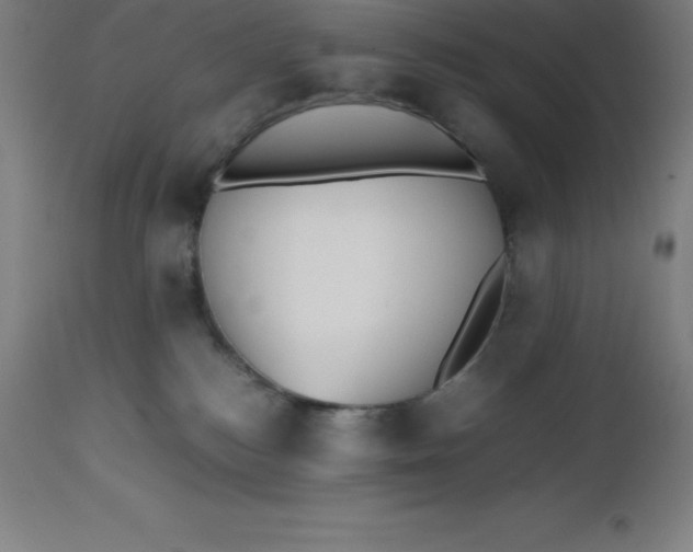 X0000112510184200909071317