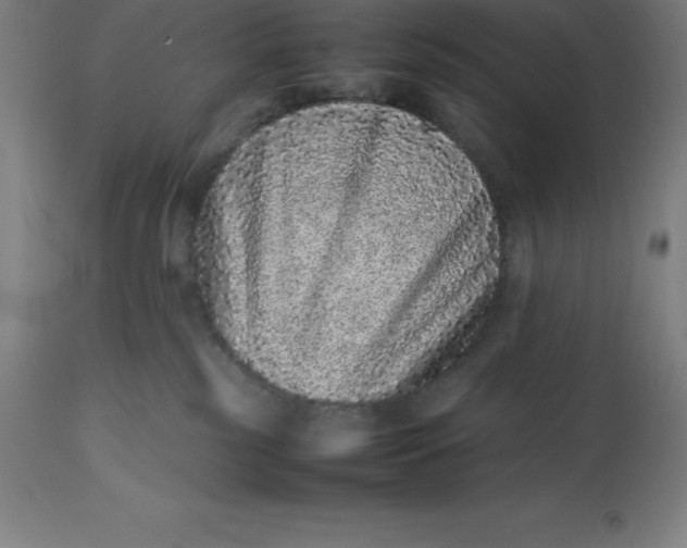 X0000112510185200909071317