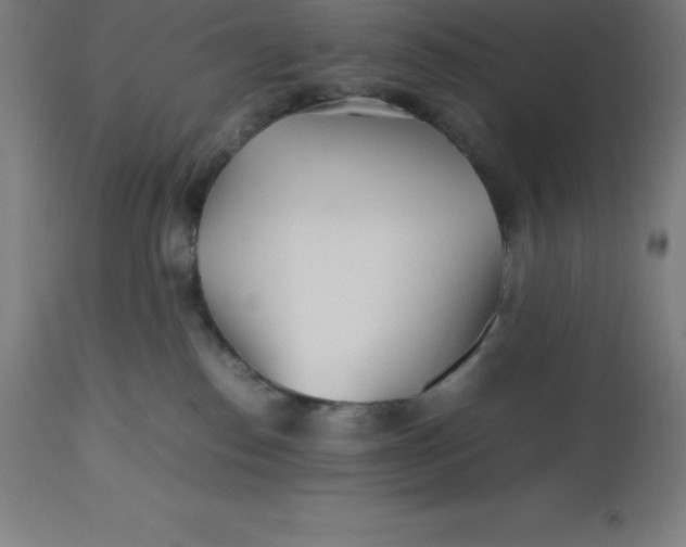 X0000112510186200909071317