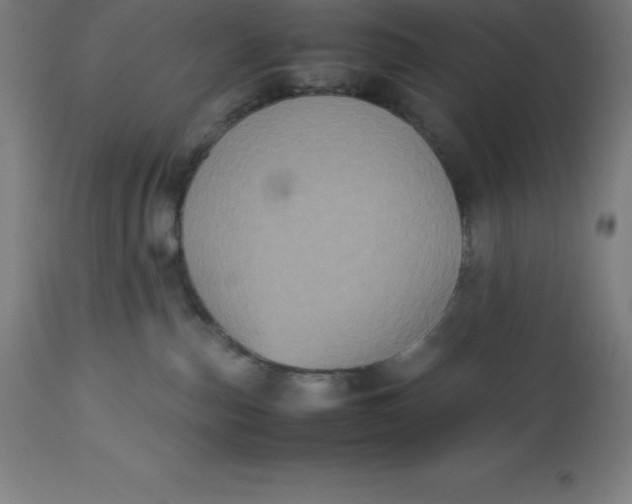 X0000112510187200909071317