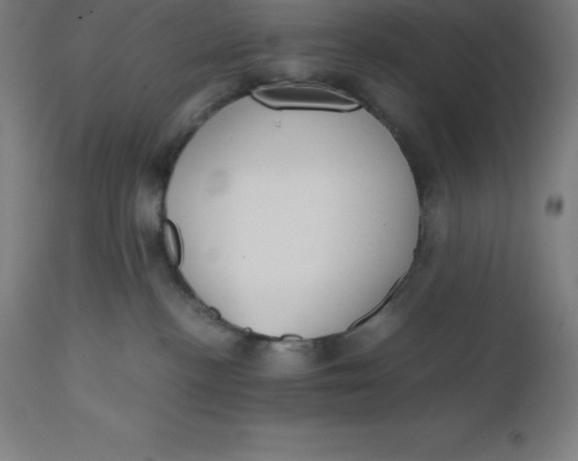 X0000112510188200909071317