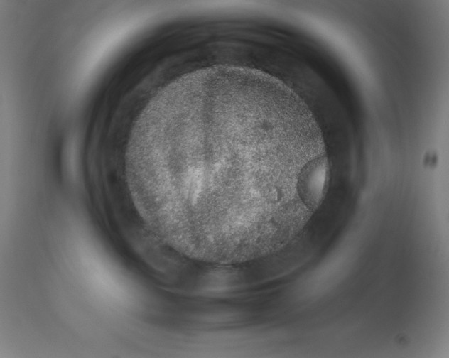 X0000112510189200909071317