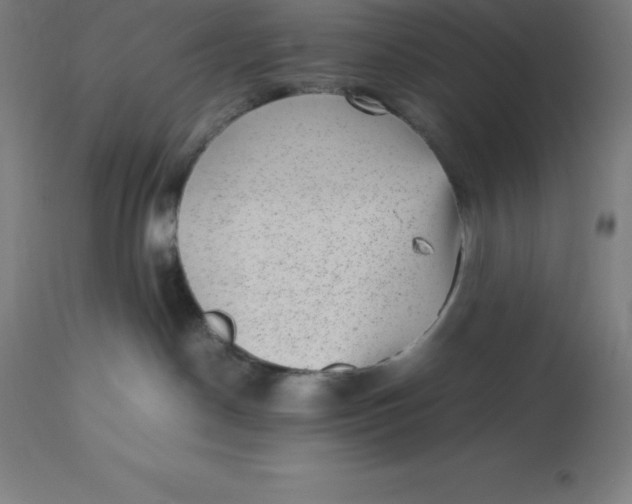 X0000112510190200909071317