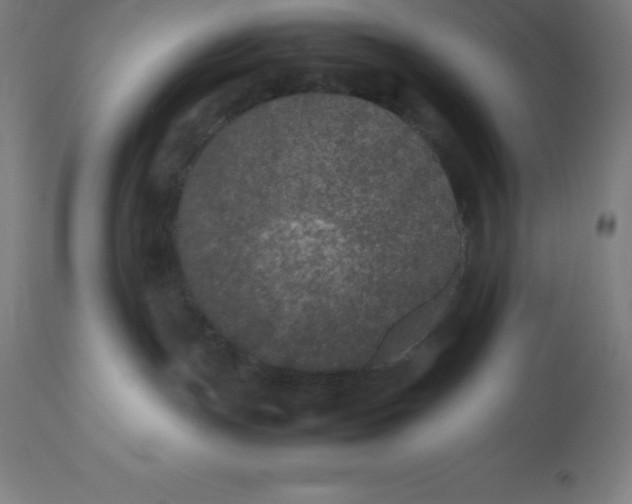 X0000112510191200909071317