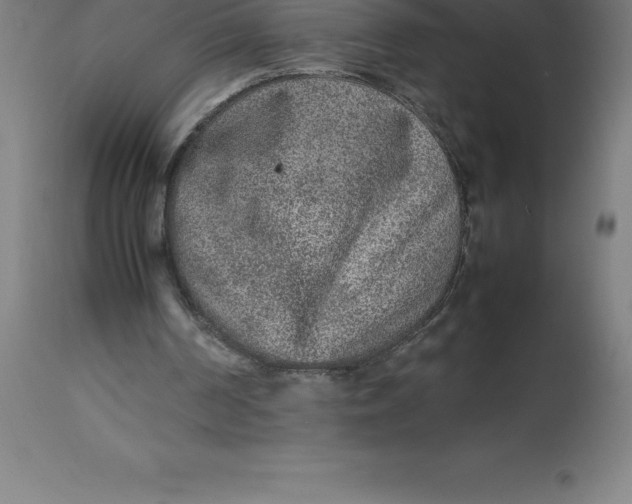 X0000112510194200909071316