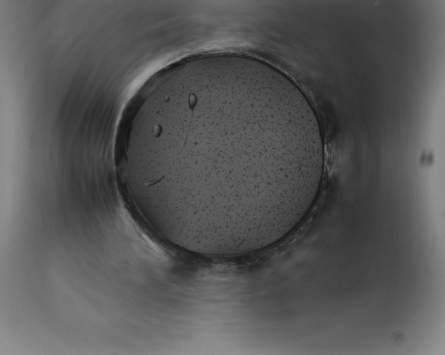 X0000112510196200909071316