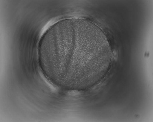 X0000112510198200909071316