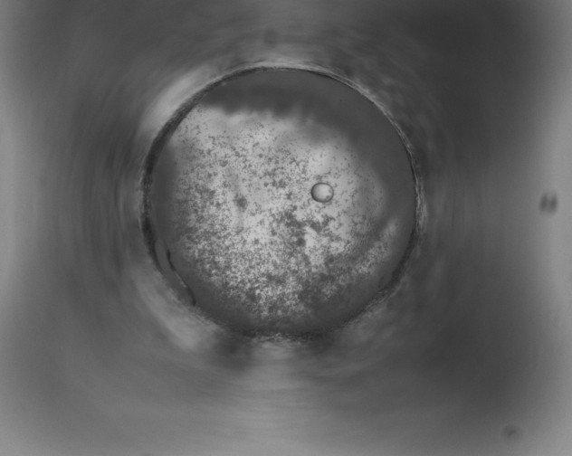 X0000112510199200909071316