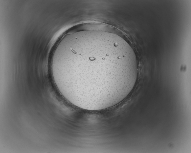 X0000112510200200909071316