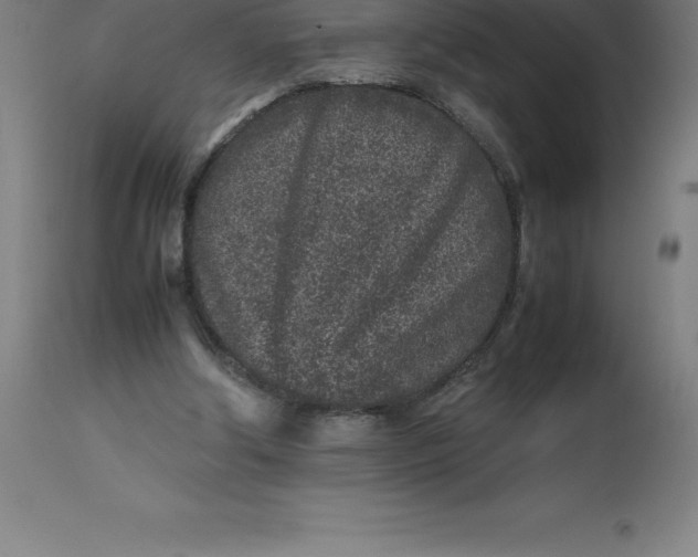 X0000112510202200909071316