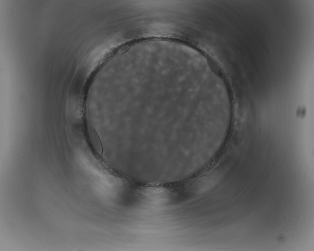 X0000112510203200909071316