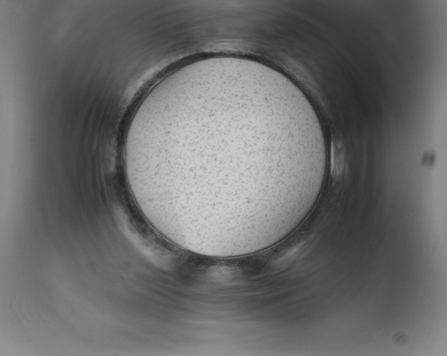 X0000112510204200909071316