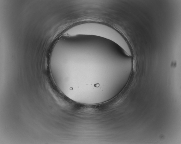 X0000112510205200909071316