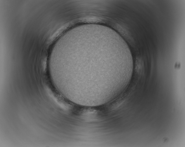 X0000112510206200909071316