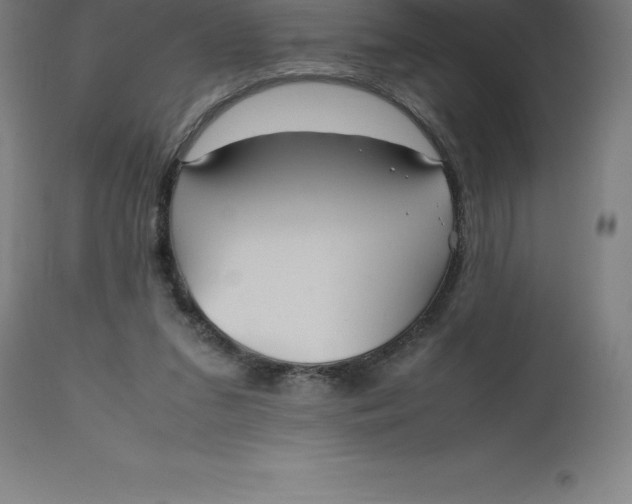 X0000112510207200909071316