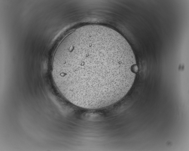 X0000112510208200909071316