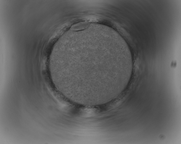 X0000112510209200909071316