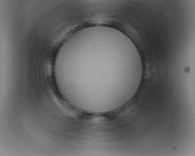 X0000112510210200909071316