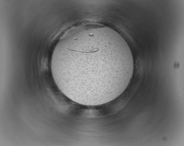 X0000112510212200909071316