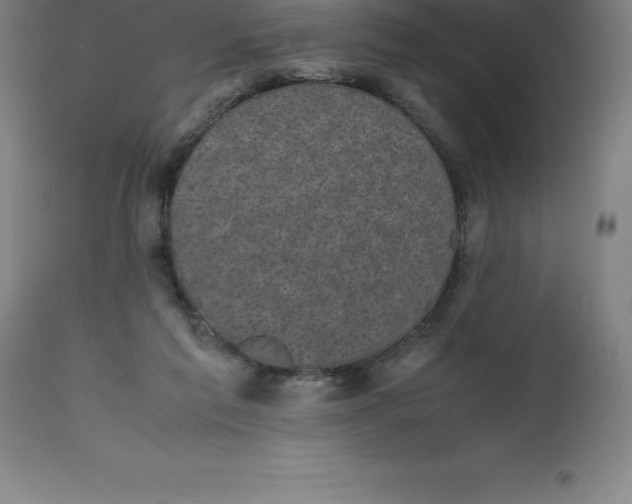 X0000112510213200909071316