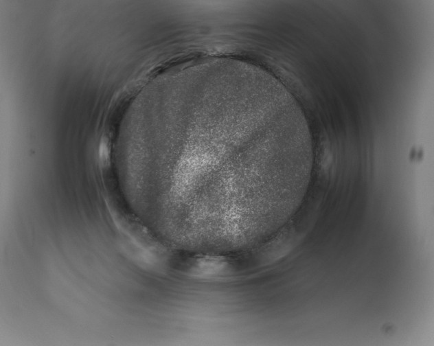 X0000112510214200909071316