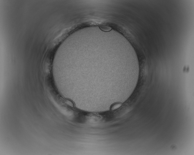 X0000112510215200909071316