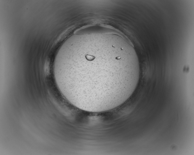 X0000112510216200909071316