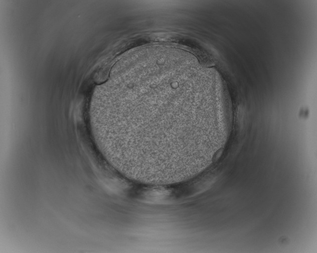 X0000112510217200909071316