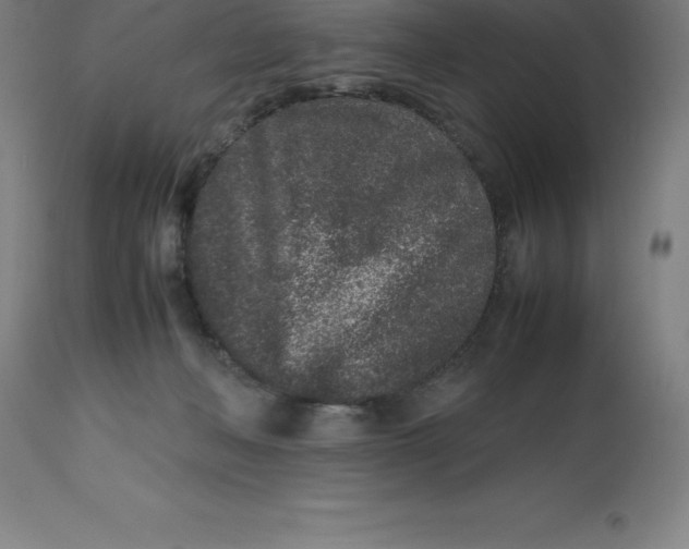 X0000112510222200909071316