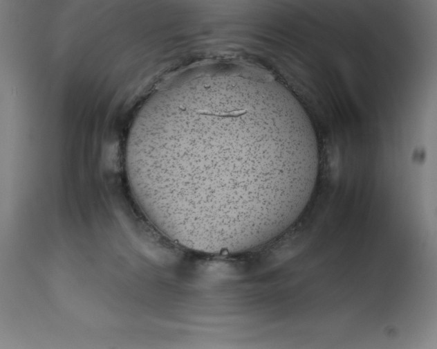 X0000112510224200909071316