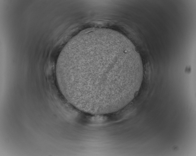 X0000112510225200909071316